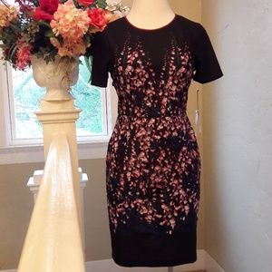 Ivanka Trump Dress